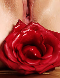 Adele B is looking hot as hell in her new lingerie set today.